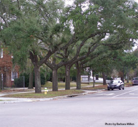 photo of a street corner in a North Charleston, SC neighborhood